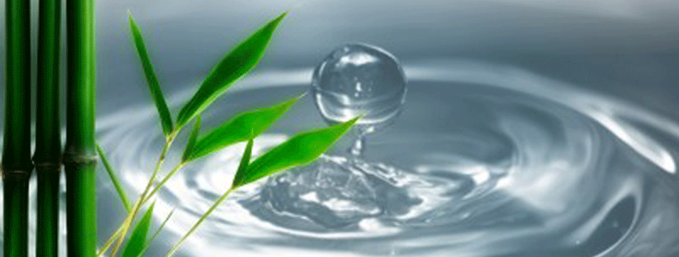 Bamboo with water