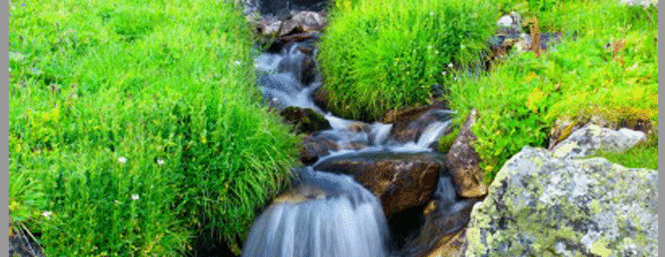 River through grass